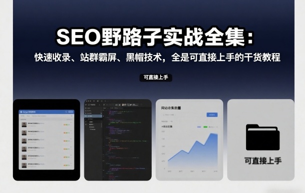 SEO野路子实战全集：快速收录、站群霸屏、黑帽技术，全是可直接上手的干货教程-难事易副业库