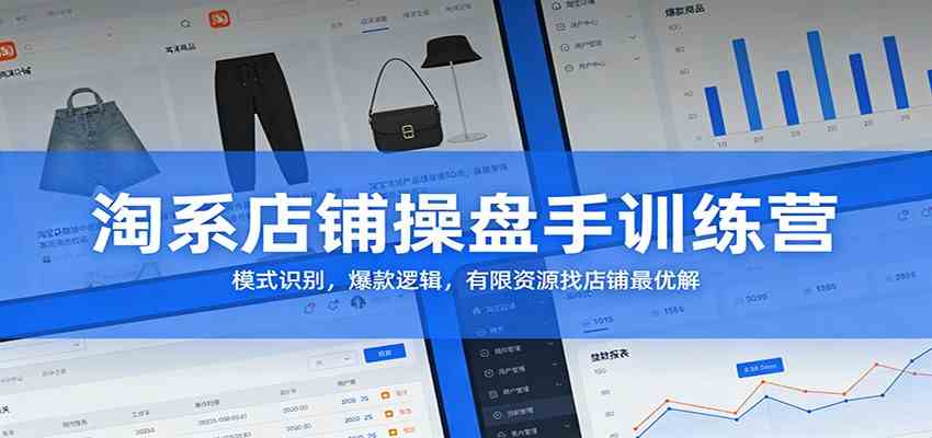 淘系店铺操盘手训练营：模式识别，爆款逻辑，有限资源找店铺最优解-难事易副业库