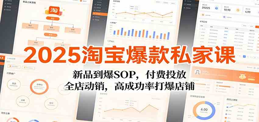 2025淘宝爆款私家课：新品到爆SOP，付费投放，全店动销，高成功率打爆店铺-难事易副业库