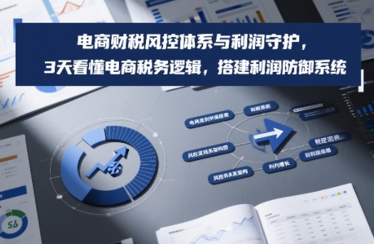 电商财税风控体系与利润守护，3天看懂电商税务逻辑，搭建利润防御系统-难事易副业库