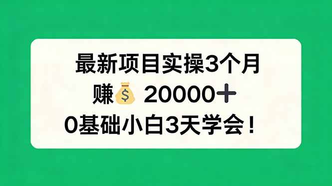 （17856期）最新项目实操3个月，赚钱20000+，0基础小白3天学会！-难事易副业库