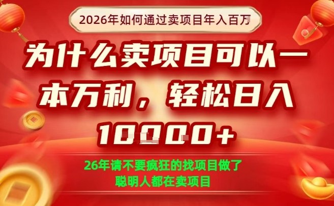 一单净利润1K+，26年想年入100个W，死磕卖项目就够了【揭秘】-难事易副业库