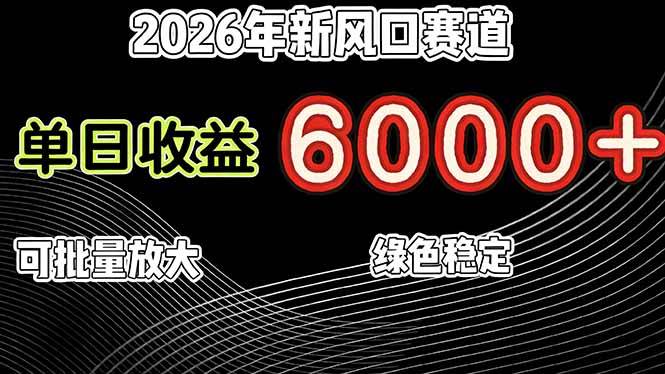 （17135期）2026年新风口赛道，当日6000+以上，可批量放大，月收入20万+，长期绿色稳定的项目-难事易副业库