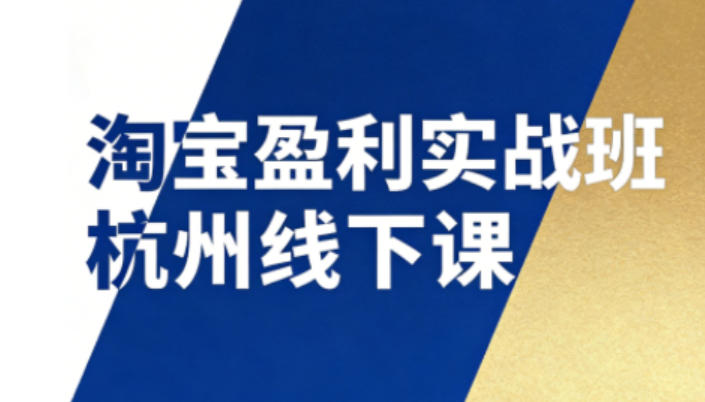 淘宝盈利实战班杭州线下课12月26-28日（音频+字幕），帮你掌握SOP流程+12门核心技术-难事易副业库