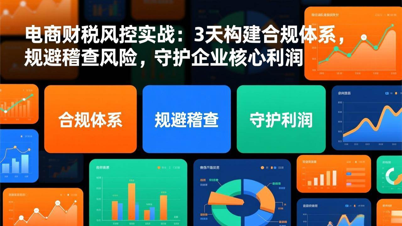 （17197期）电商财税风控实战：3天构建合规体系，规避稽查风险，守护企业核心利润-难事易副业库