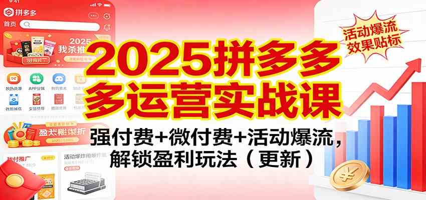 2025拼多多运营实战课：强付费+微付费+活动爆流，解锁盈利玩法（更新）-难事易副业库