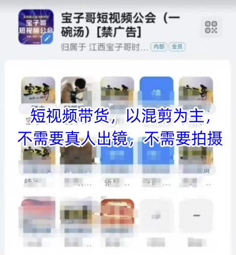 宝子哥头部团队短视频带货，以混剪为主，不需要真人出镜，不需要拍摄【更新26年3月】-难事易副业库
